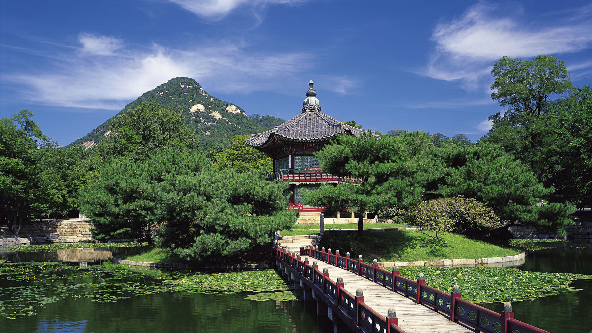 亲临现场:车迷的热情与激情展现