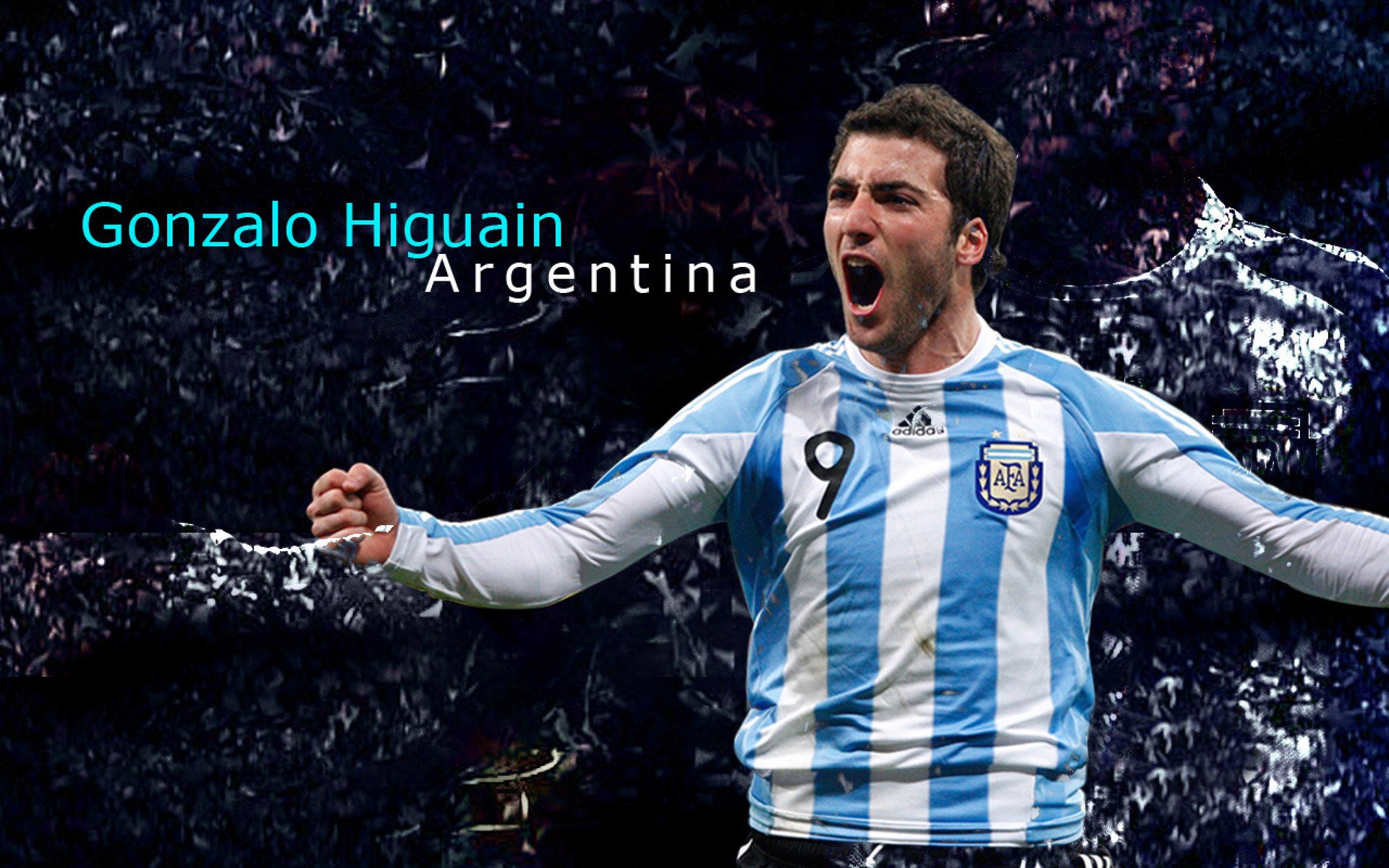 美国队赛后分享备赛心得，美国 比赛