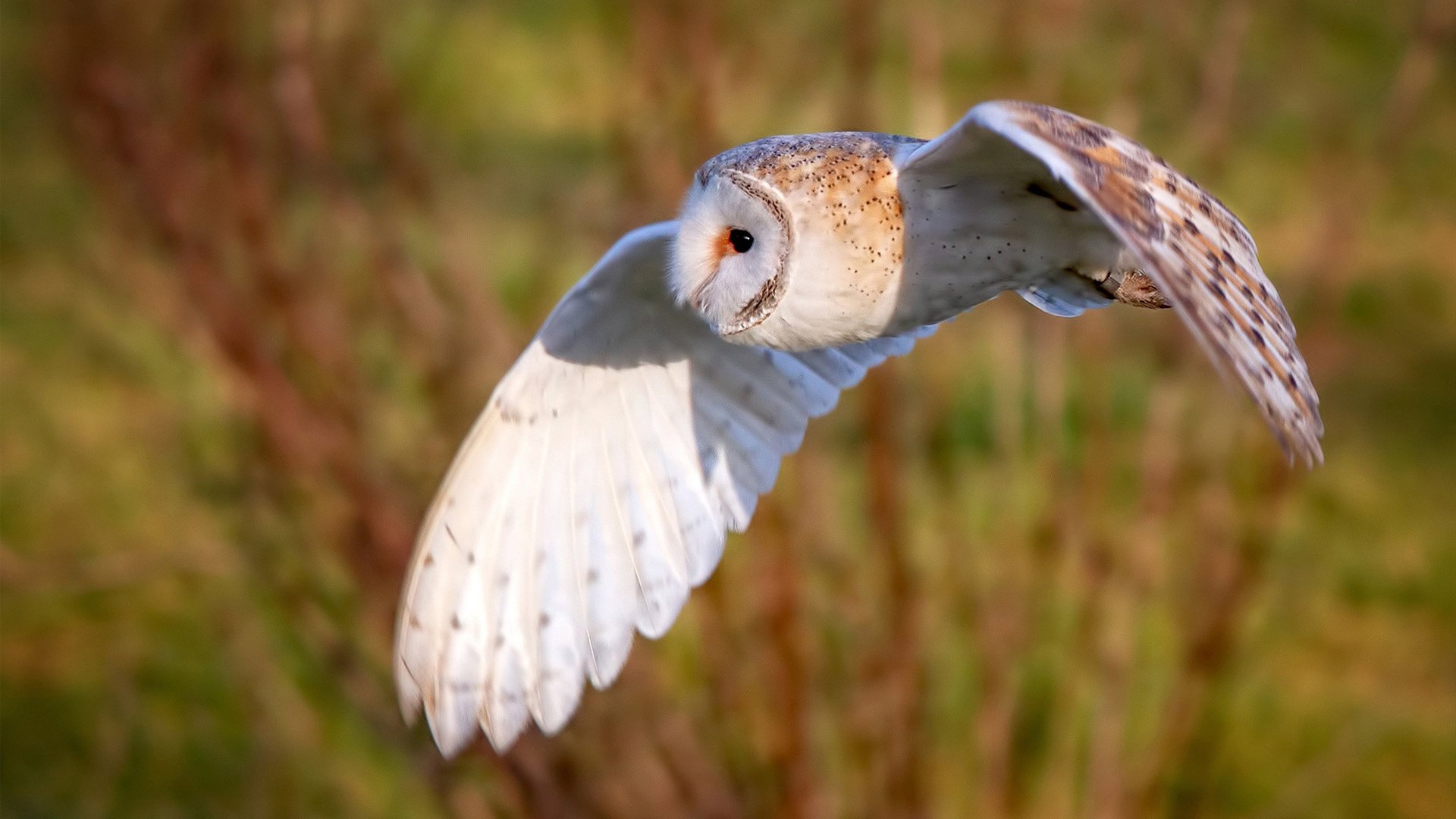 中国青少年篮球教育体系实行分类分级,科学发展助推行业升级,我国青少年篮球体校