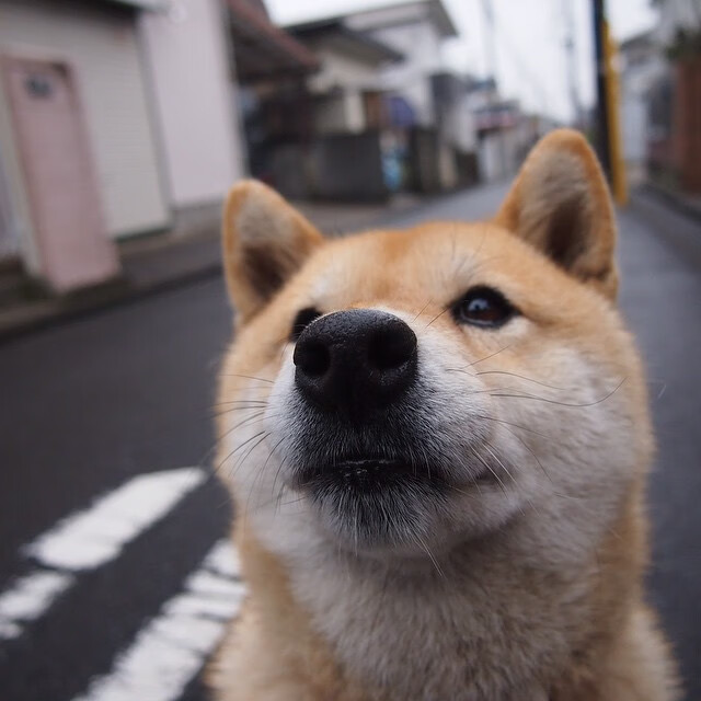 以科技创新引领的电竞行业新生态:芯片、显示、云端全面升级,电竞产业新技术