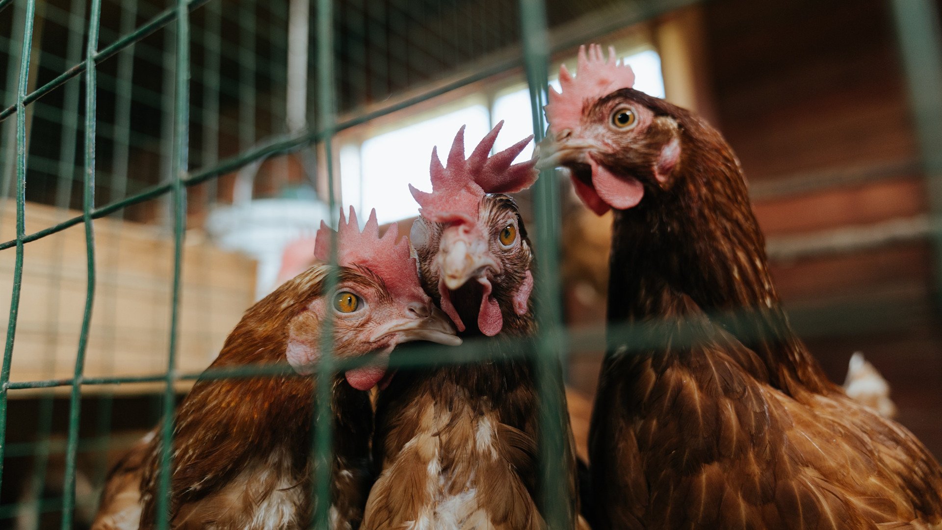 全国青少年“健身行走”公益活动在昆明拉开序幕，推广健康生活方式