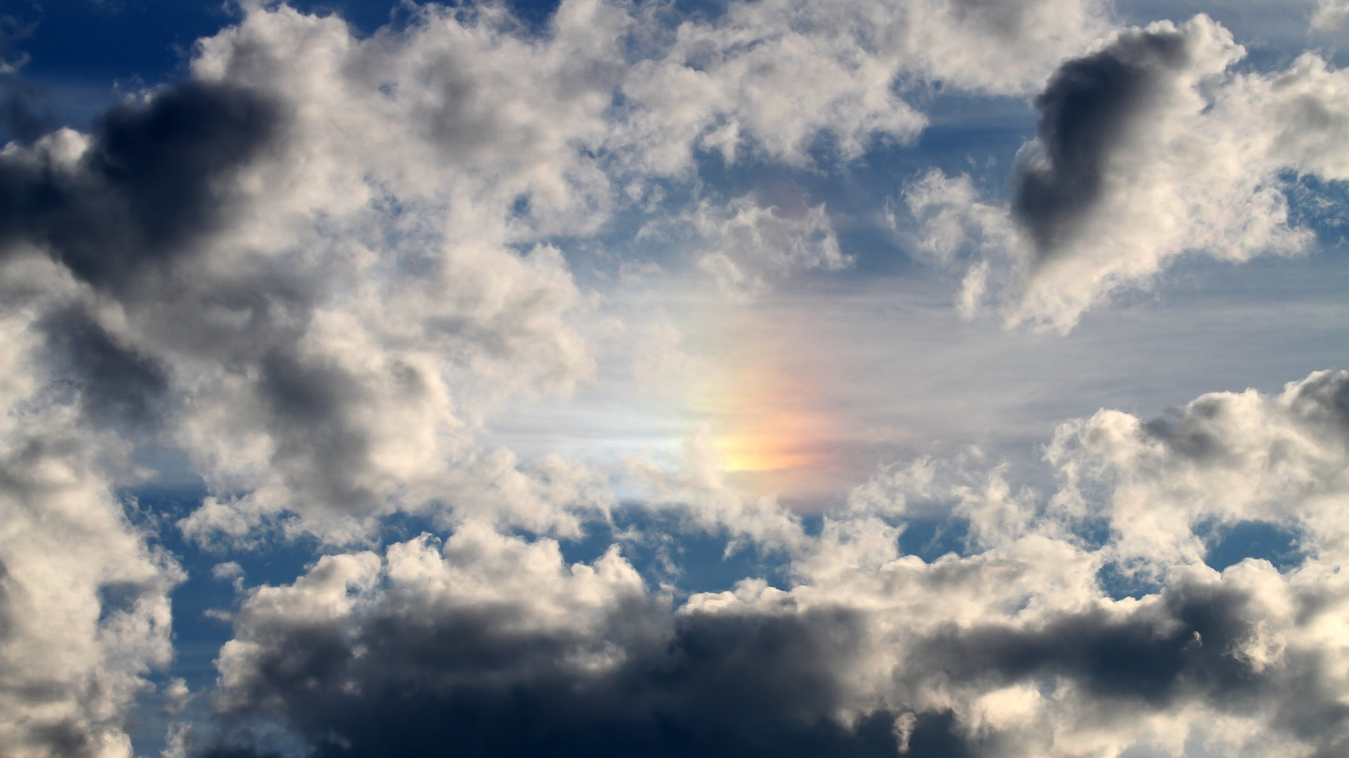 全球多元化:赛车运动的文化融合,赛车运动对促进汽车大众化的作用如何